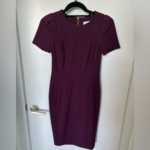 Calvin Klein Tulip Sleeved Sheath Dress